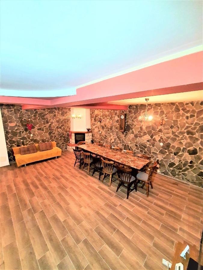 Vila Luca'S Cîrţişoara Εξωτερικό φωτογραφία